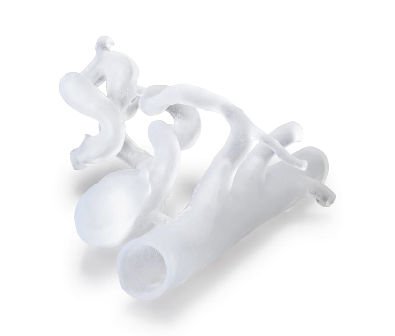 Селезеночная артерия сделана на 3D принтере Formlabs Form 3B+